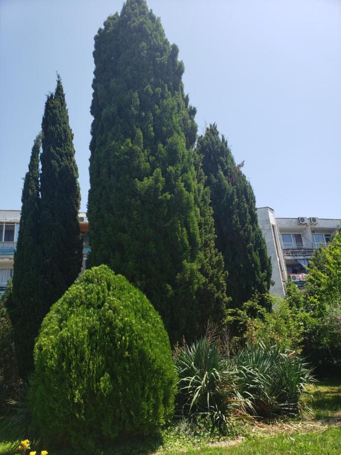 Family Hotel Magnolia Sunny Beach Exterior photo